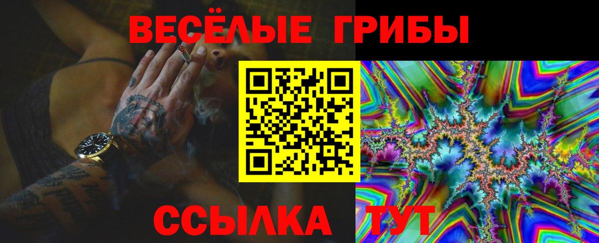 Галлюциногенные грибы GOLDEN TEACHER Зеленодольск